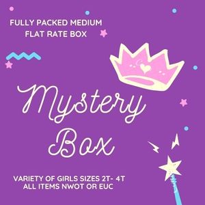 Girl's 2T-3T Mystery Box (NWOT & EUC)